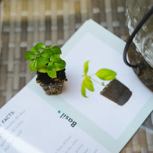 Load image into Gallery viewer, Leaf’d Box Education Kit