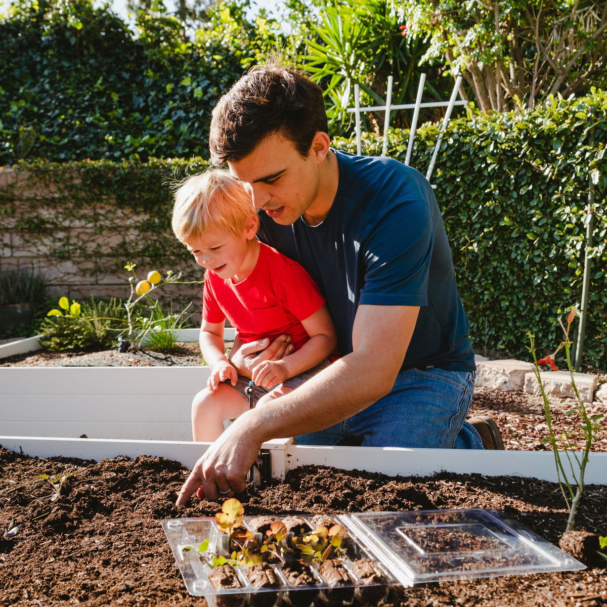 Leaf’d Box Education Kit Leaf'd Box