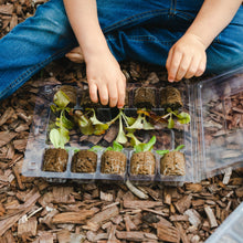 Load image into Gallery viewer, Leaf’d Box Education Kit