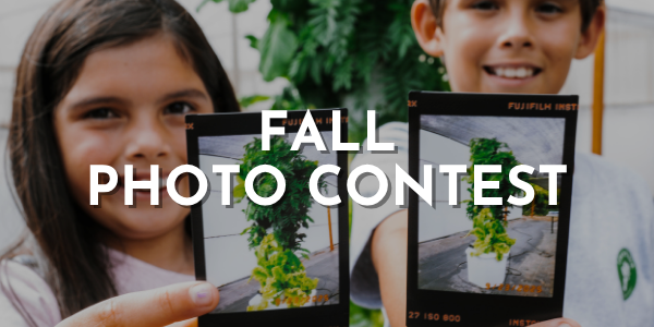 Your Garden Has a Story – And We Want to Experience It!