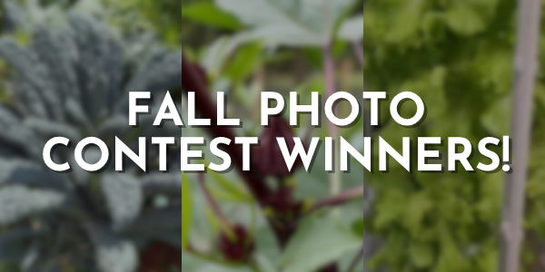 Time to Meet the Winners of the Leaf’d Box Fall Photo Contest!
