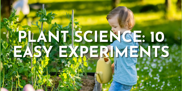 Garden Science: 10 Easy Experiments You Can Do With Plants You’re Already Growing