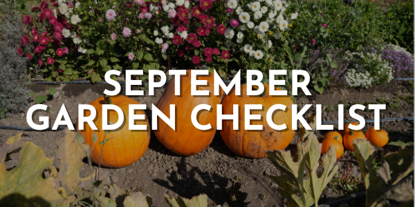 September Garden Checklist for Beginners