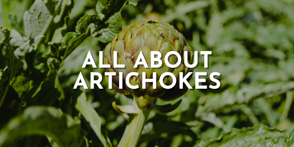 All About Artichokes: Tips & Tricks