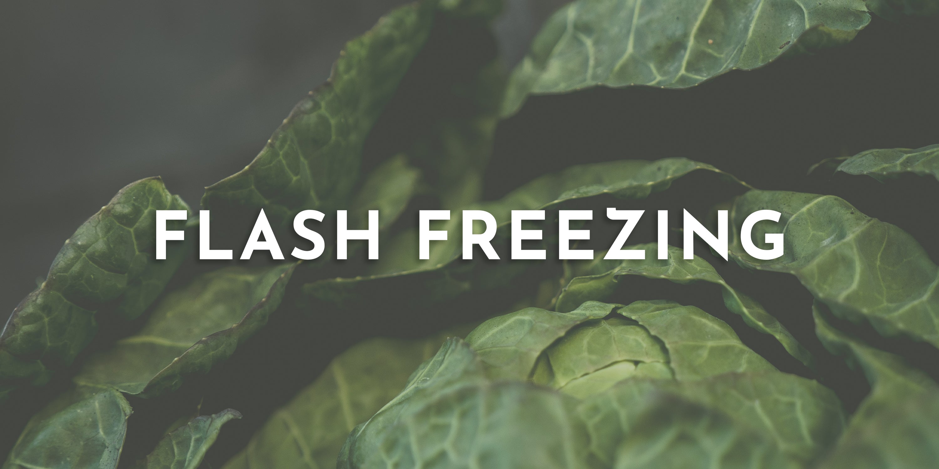 How to Flash Freeze Vegetables