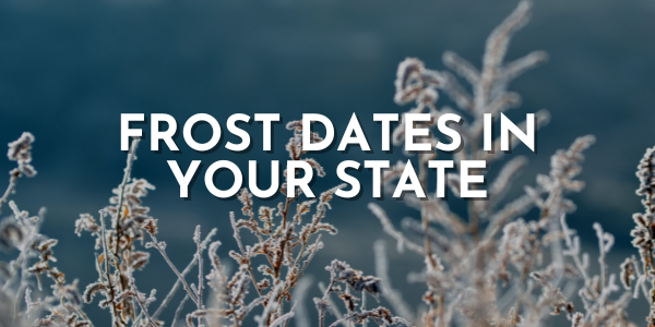 Frost Dates in Your State