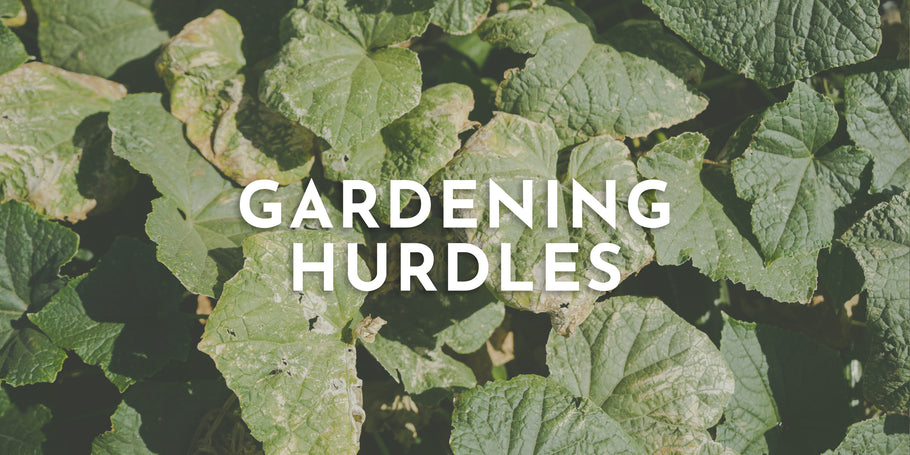 How to Overcome Gardening Hurdles