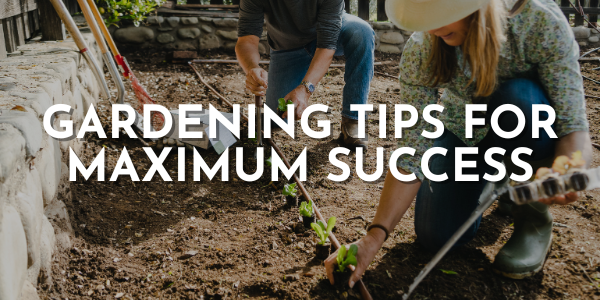 Get Ready to Grow Your Best Spring Garden Ever: Gardening Tips for Max ...