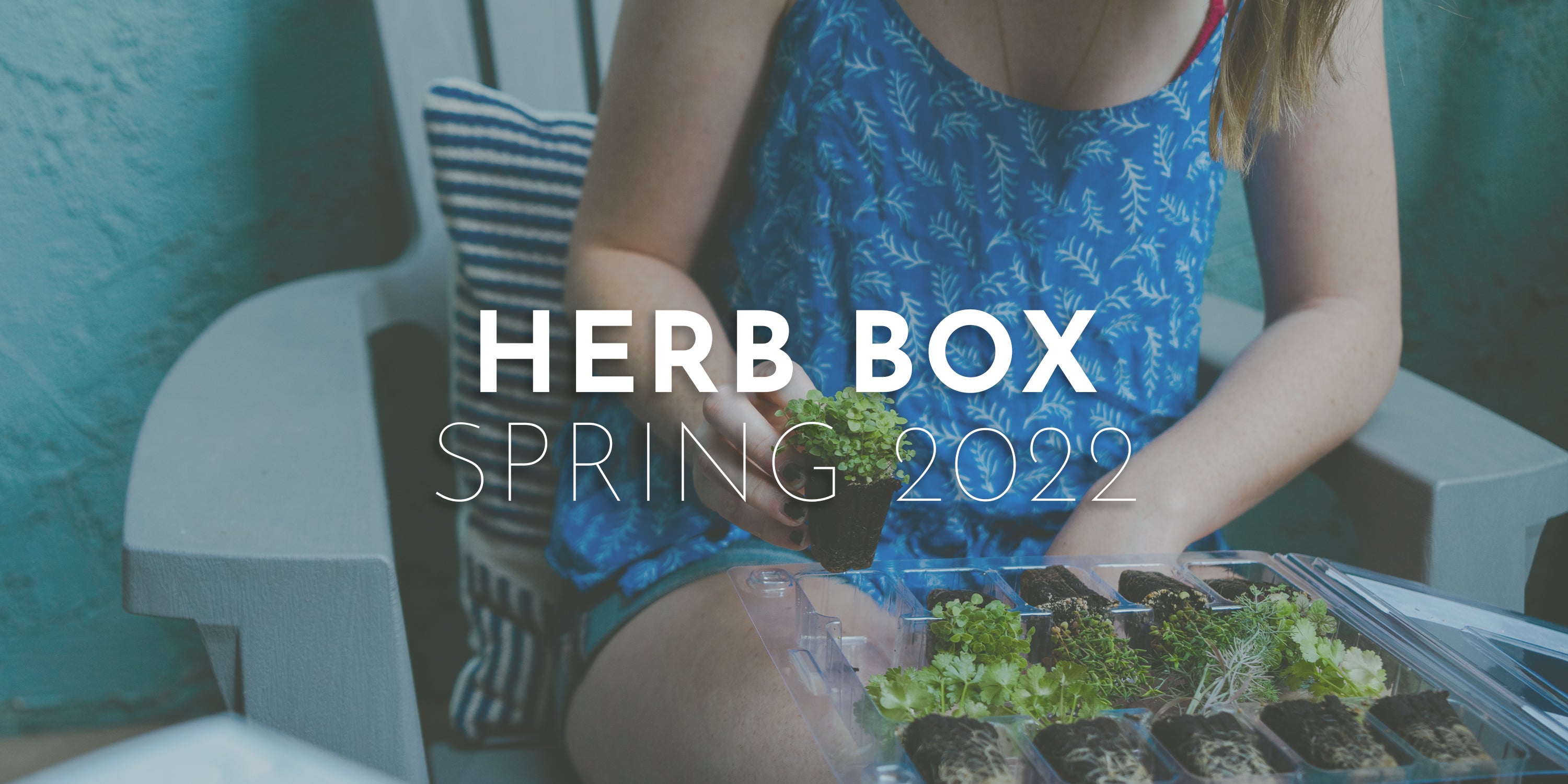 Herb Box - Spring 2022