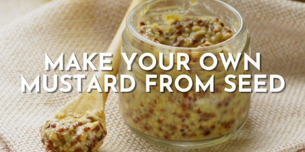 How to Make Your Own Mustard Condiment from Seed