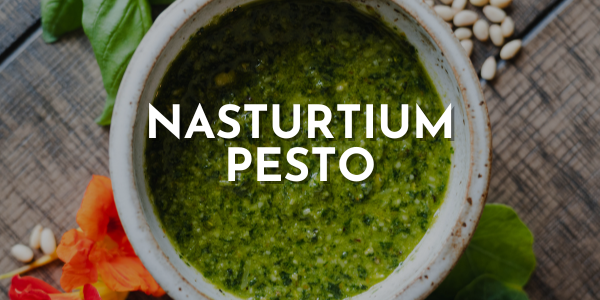 Nasturtium Pesto