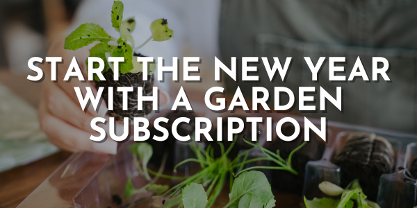 3 Reasons to Start the New Year with a Garden Subscription