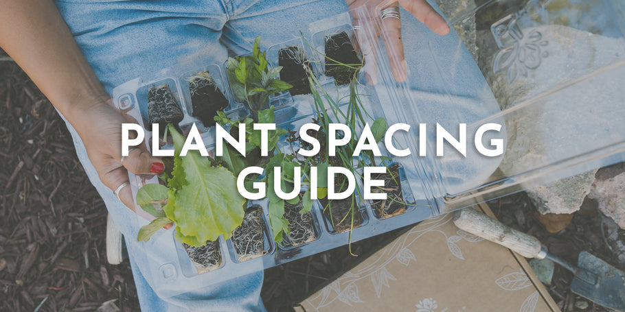 Plant Spacing Reference Guide