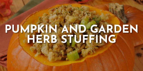 Holiday Recipe: Pumpkin and Garden Herb Stuffing