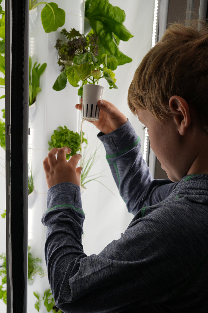 Hydroponics Kits Region 1