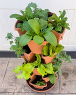 Stackable Planter Garden Kit