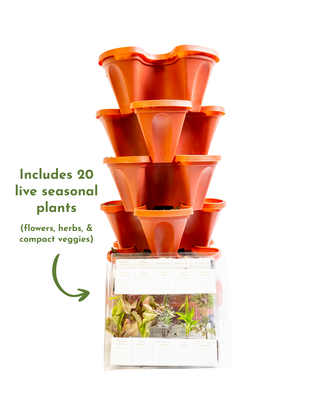 2.png__PID:75040d3e-014e-47ef-b4a2-8a6bd7f34be1