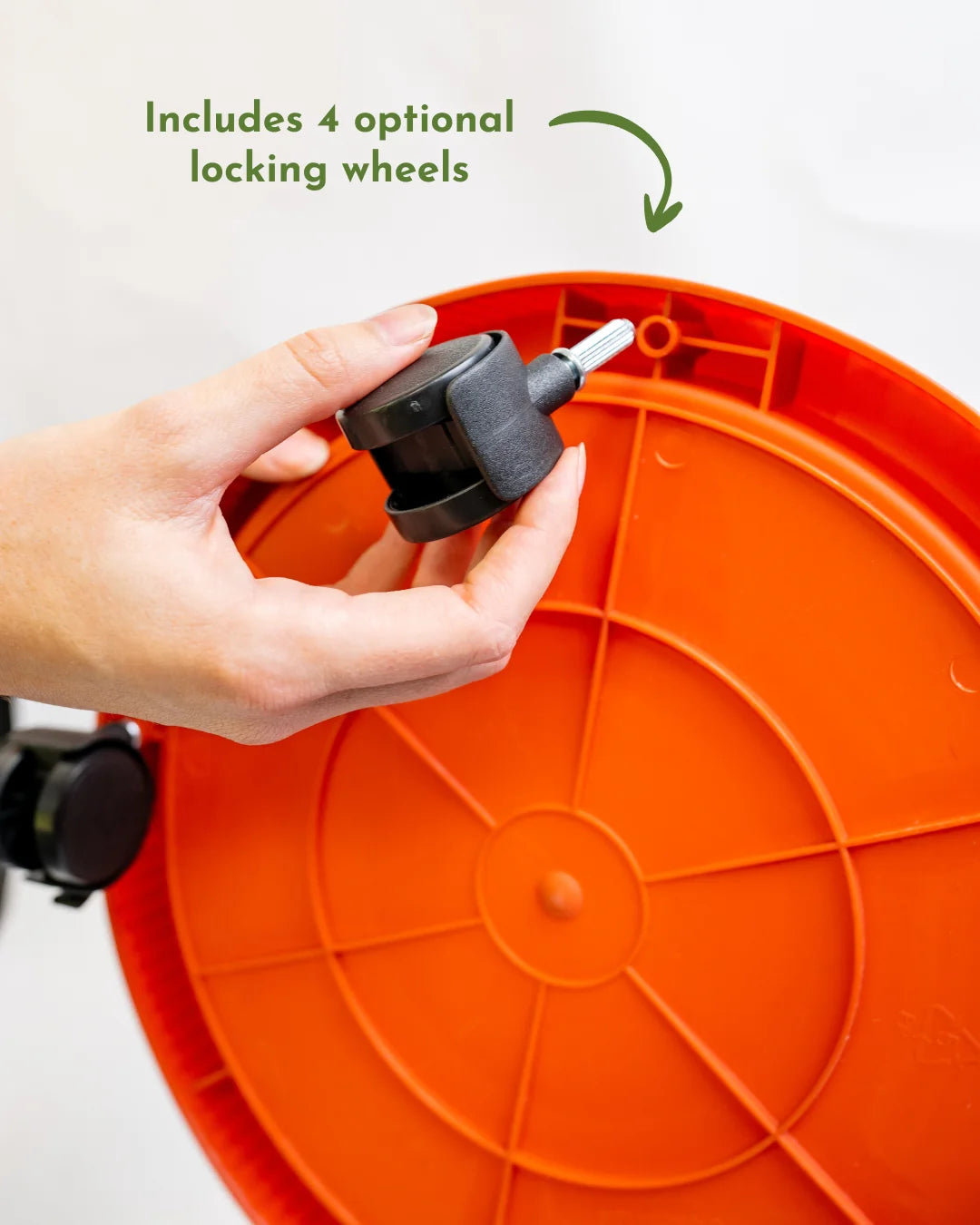 5.webp__PID:014e07ef-f4a2-4a6b-97f3-4be1b1dd8626