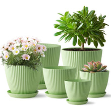 Load image into Gallery viewer, BTPLASTIK Plant Pots 6 Pack, Multi-Size Flower Pots with Drainage Holes &amp; Saucers, Plastic Planters for Indoor Outdoor Plants (Green)
