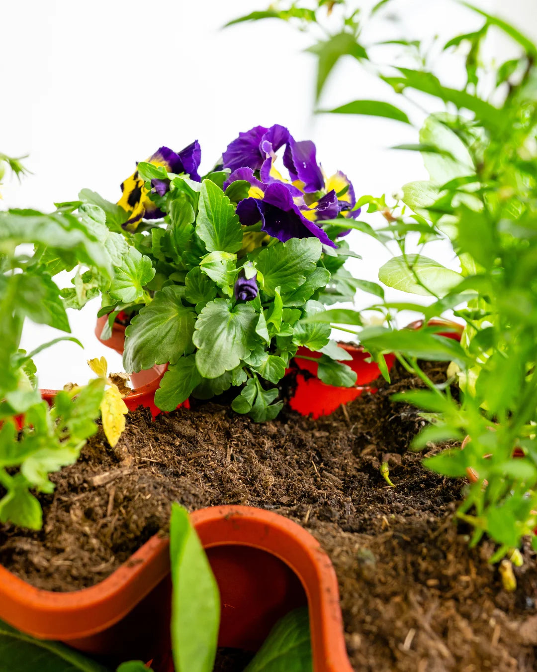 6 (1).webp__PID:34555bb1-32f4-4827-a917-67a9b19cb461