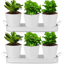 Load image into Gallery viewer, Hicarer 2 Sets Herb Planter with Tray Metal Herb Garden Planter with Drainage Farmhouse Windowsill Pots for Indoor Plants Flower Succulent Outdoor Kitchen Apartment Balcony Window (White)
