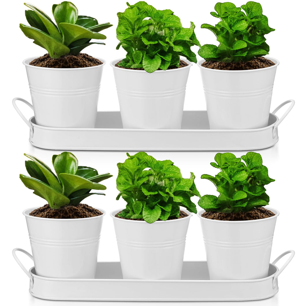 Hicarer 2 Sets Herb Planter with Tray Metal Herb Garden Planter with Drainage Farmhouse Windowsill Pots for Indoor Plants Flower Succulent Outdoor Kitchen Apartment Balcony Window (White)