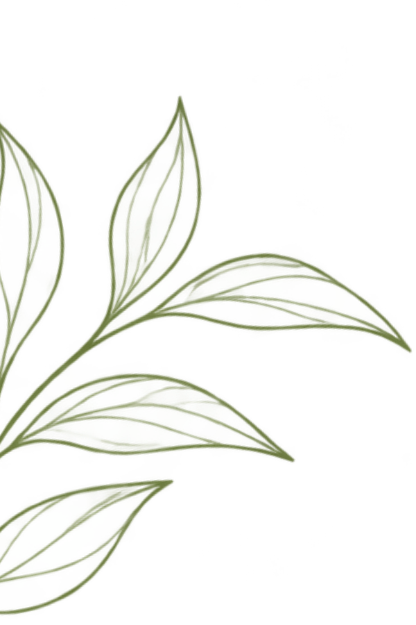 Olive green outline leaves decorating the bottom left corner.
