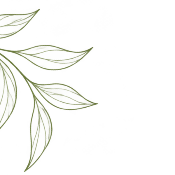 Olive green outline leaves decorating the top left corner.