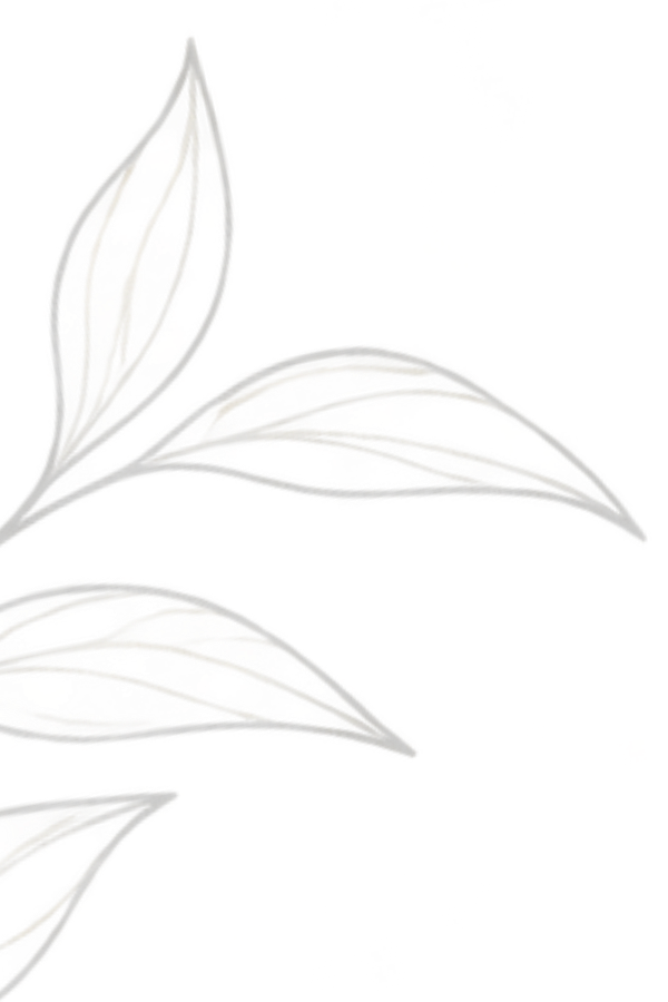 Light botanical outline leaves decorating the left side of the clean water section.