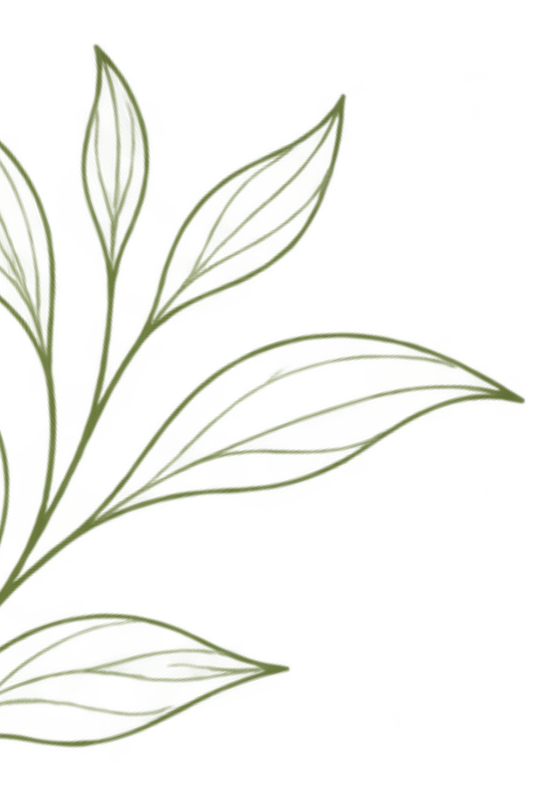 Olive green botanical branch decorating the top left corner.