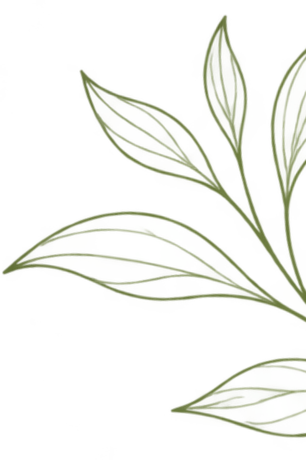 Olive green botanical branch decorating the right edge.