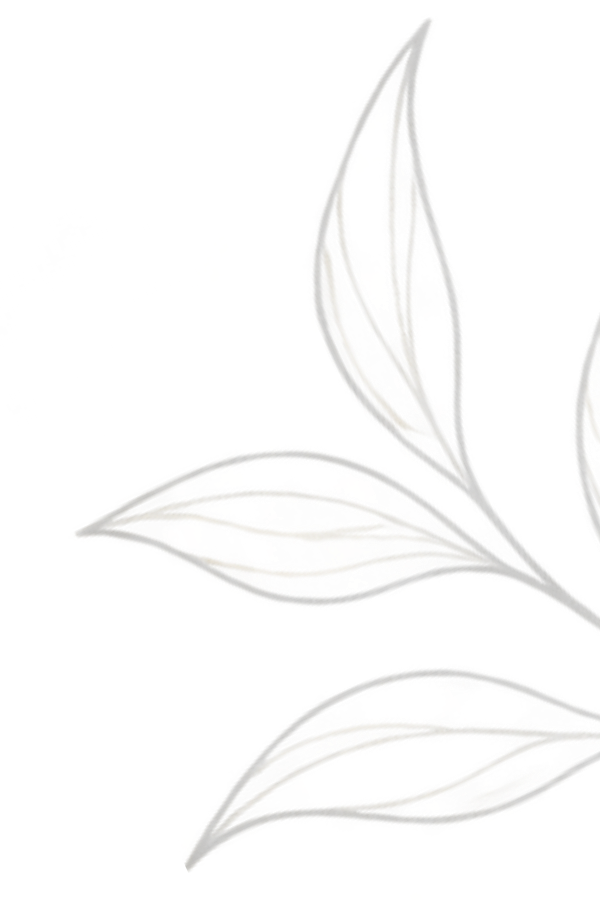 Light botanical outline leaves decorating the bottom right corner of the clean water section.