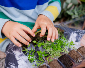 Plant Education Kit Plus - Elementary (Fall)