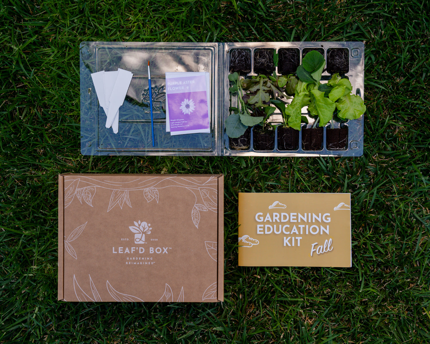 Small Plant Education Kit - Middle/High (Winter)