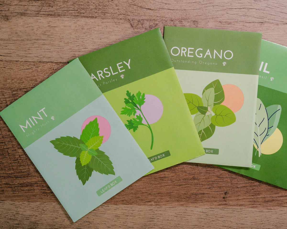 Hydroponic Education Kit Leaf'd Box