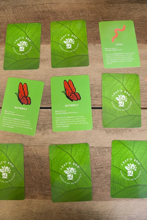 Plant Education Matching and Memory Card Game