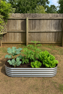 Oval Garden Bed with Plantlings