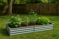 Rectangle Garden Bed with Plantlings