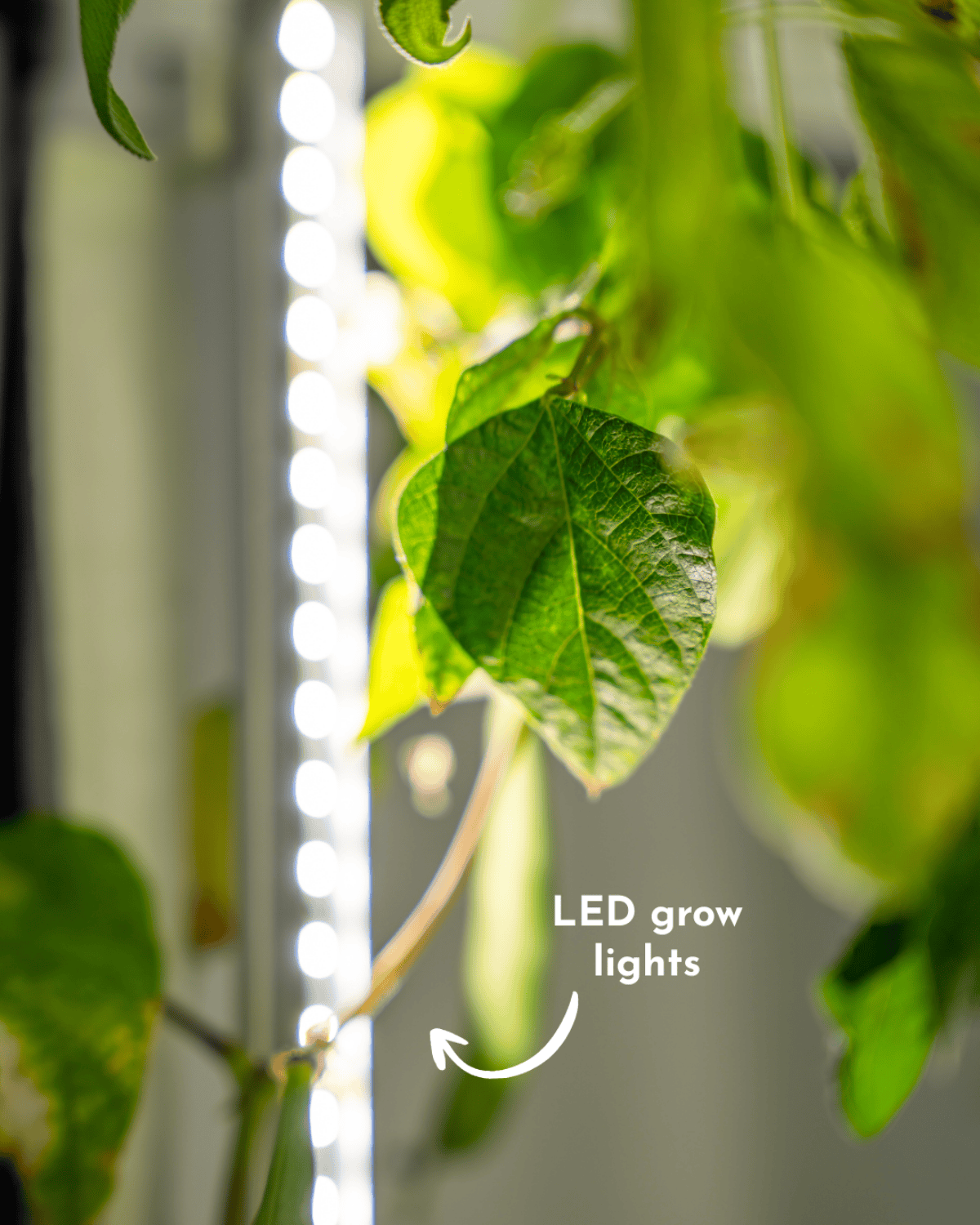 Indoor Hydroponic Tower Conversion Kit