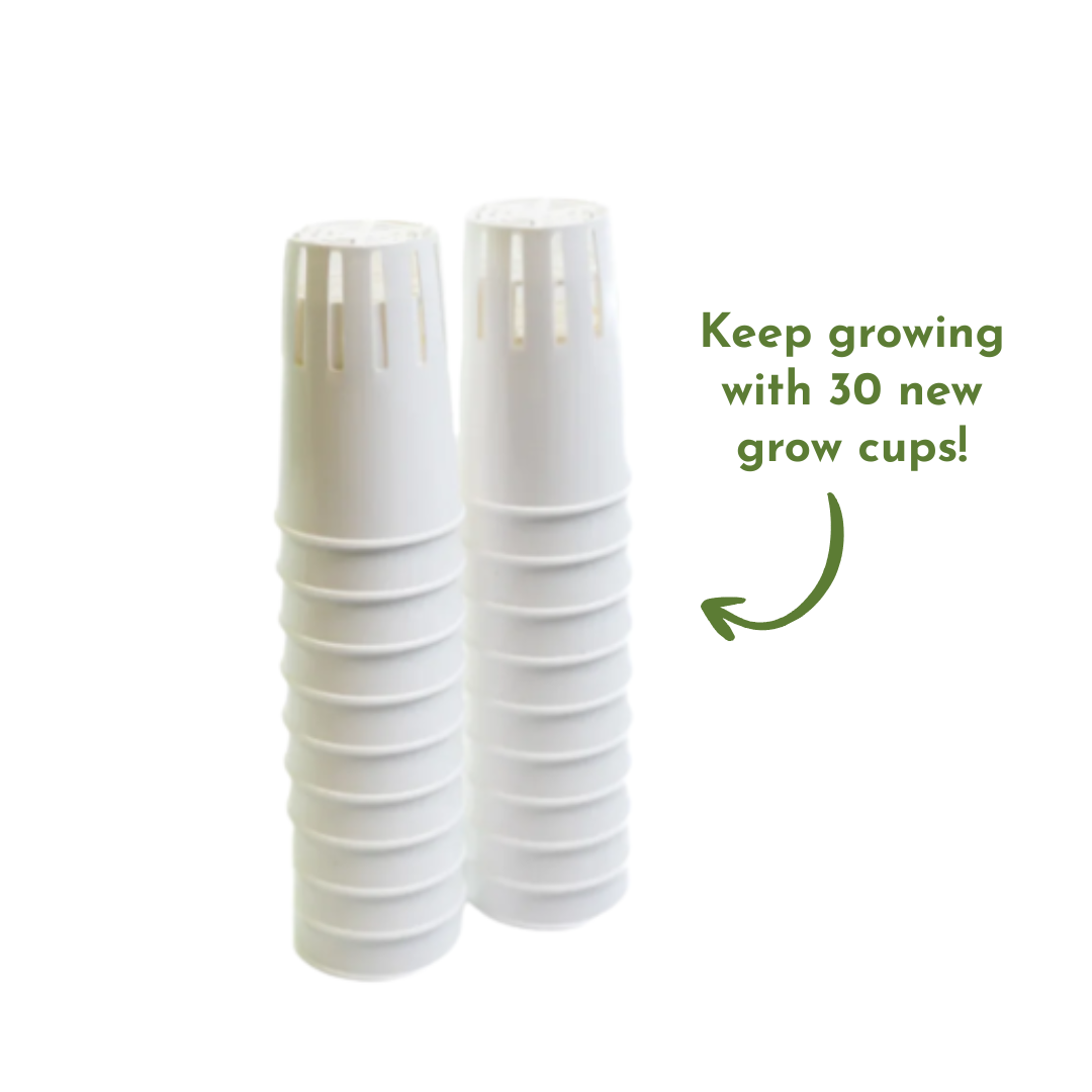 Hydroponic Tower Cups Refill