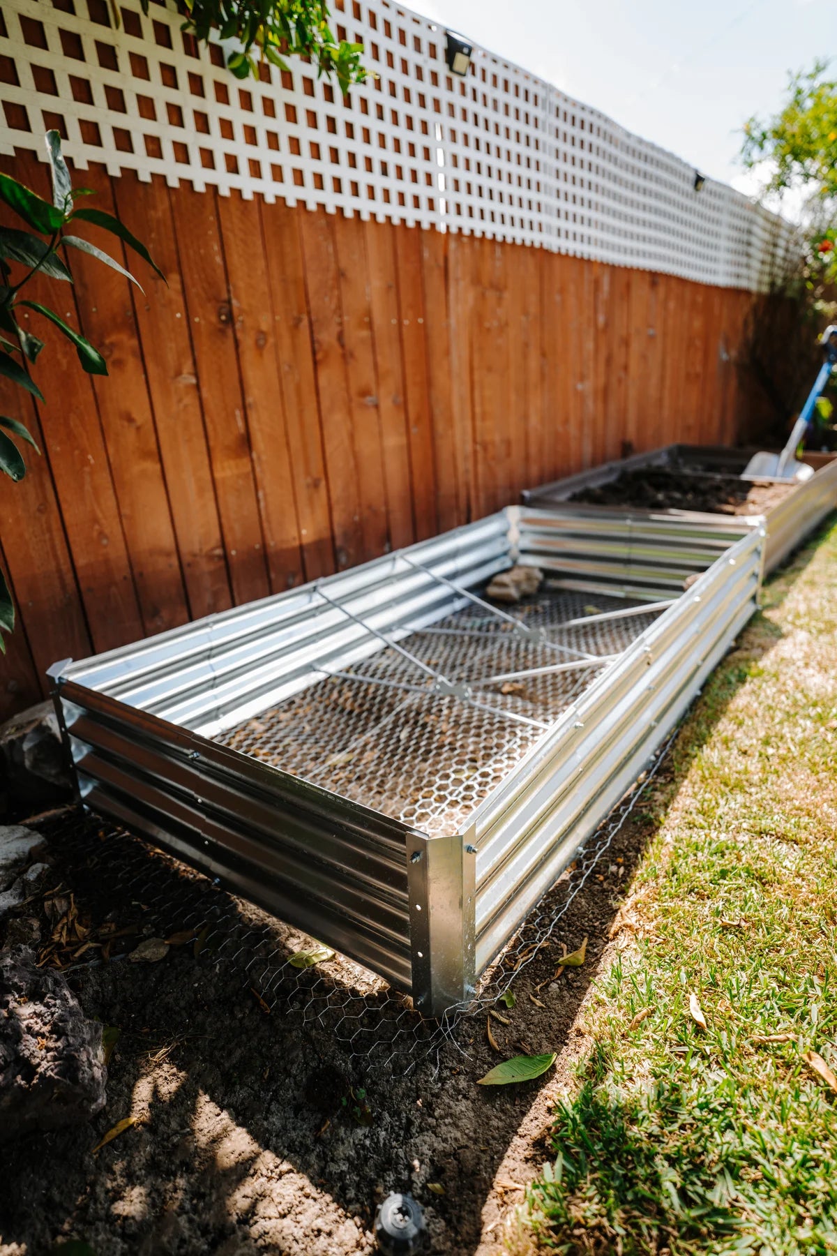 Rectangle Garden Bed with Plantlings