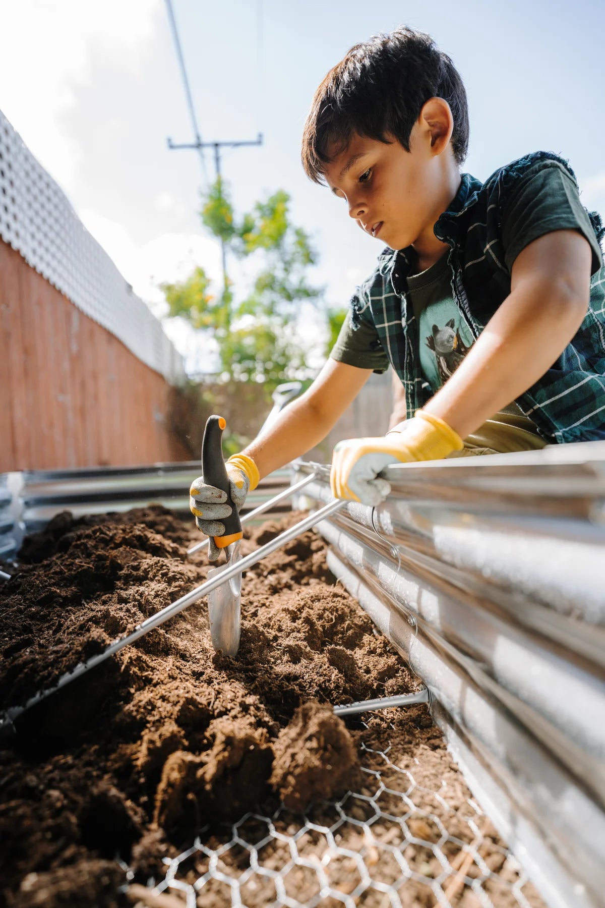 Rectangle Garden Bed with Plantlings