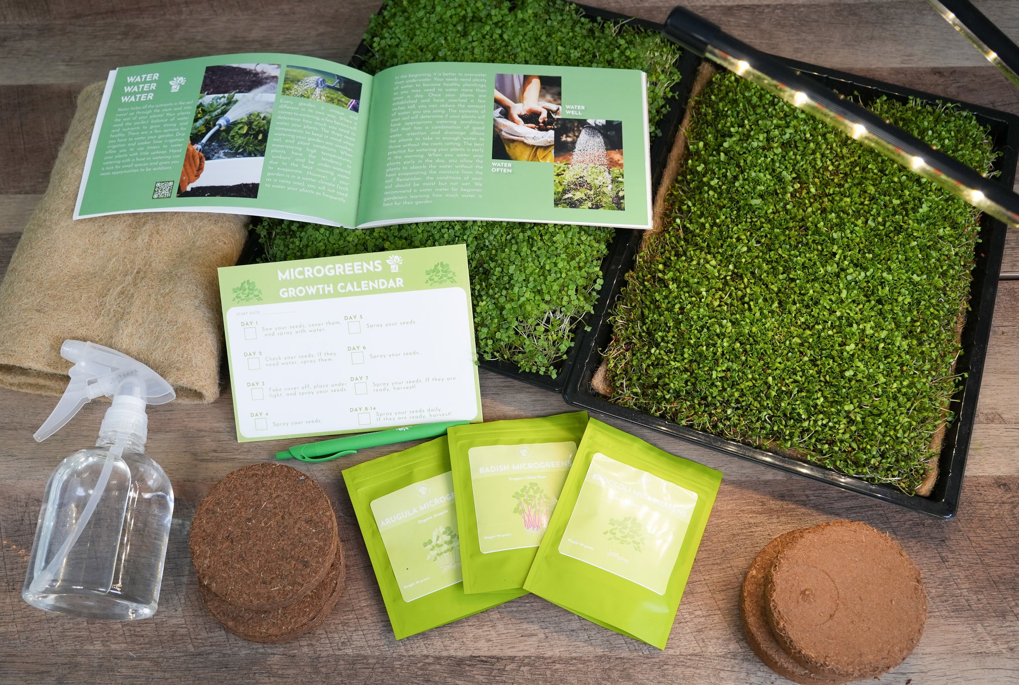 Microgreens Education Kit