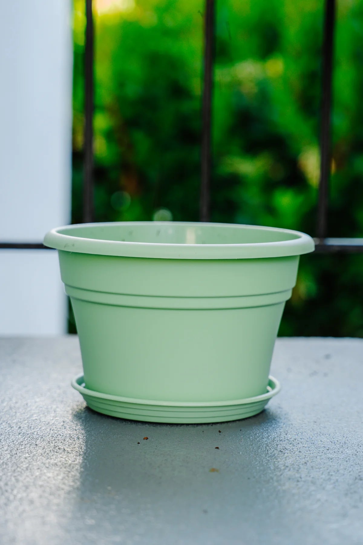 Flower Pot Kit with Plantlings
