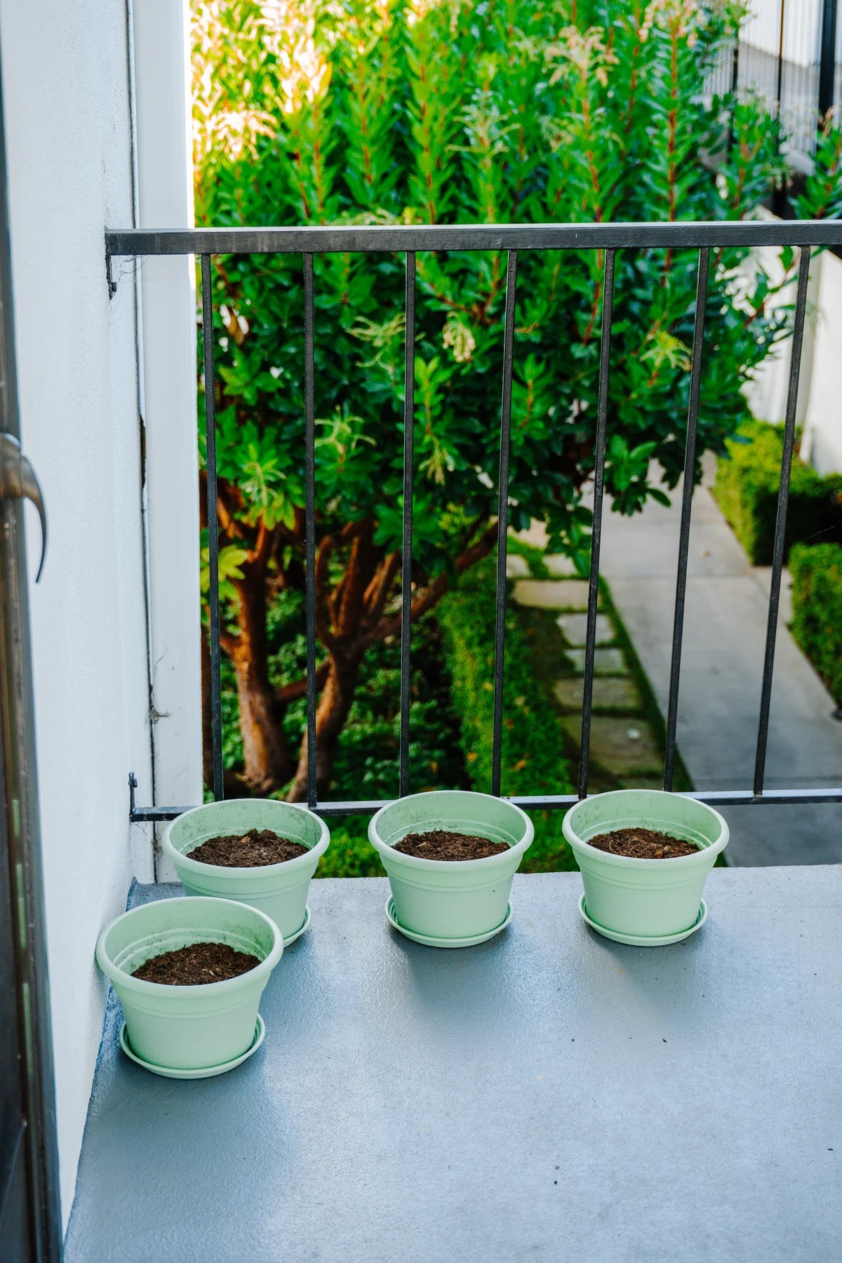Flower Pot Kit with Plantlings