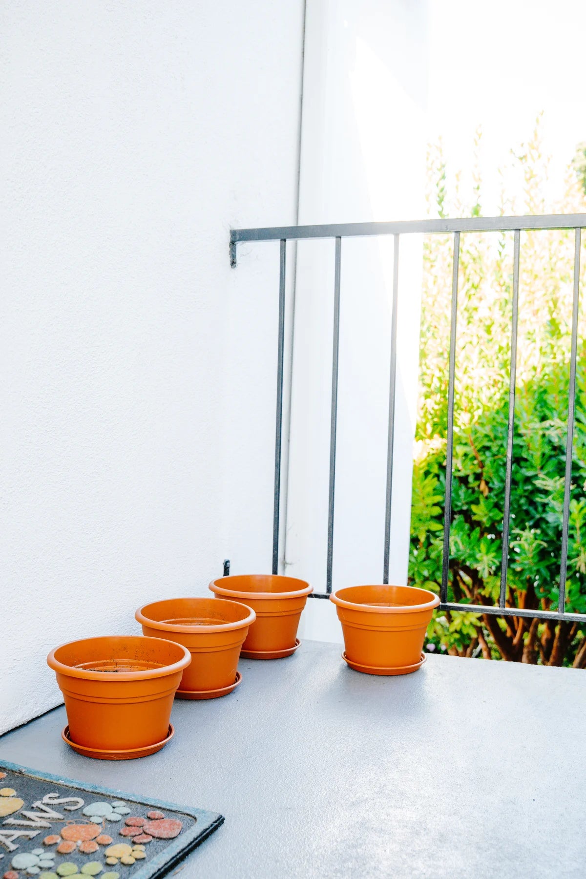 Flower Pot Kit with Plantlings