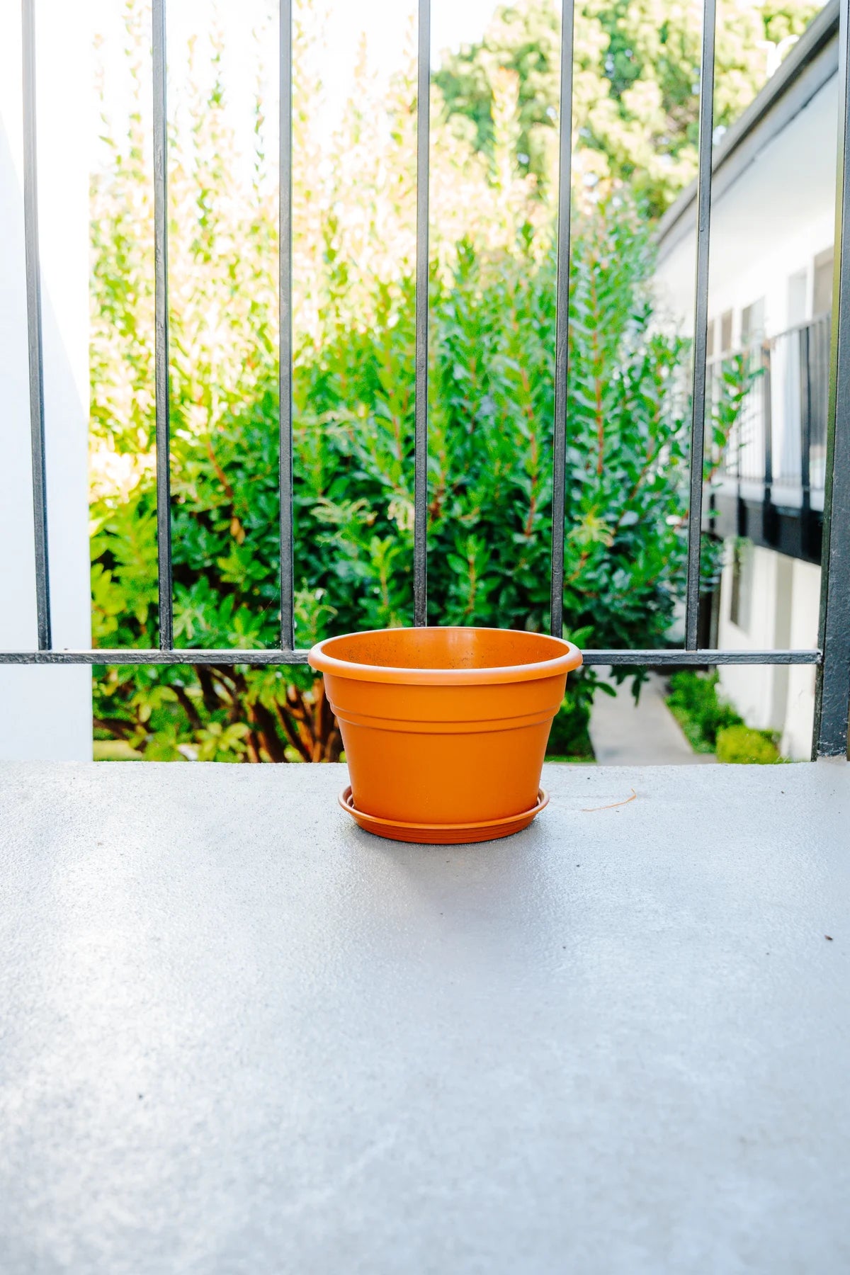 Flower Pot Kit with Plantlings