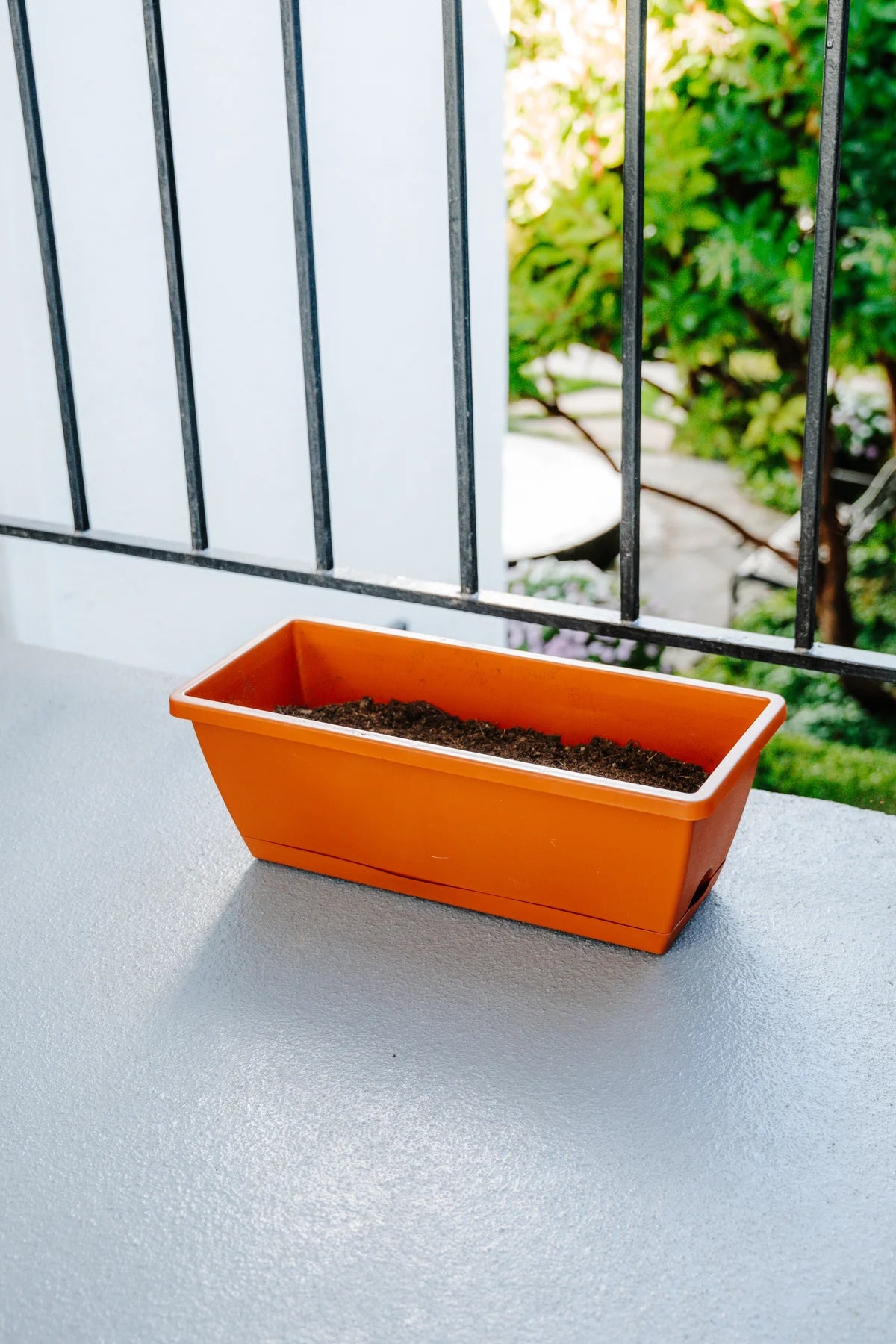 Windowsill Planter Kit with Plantlings