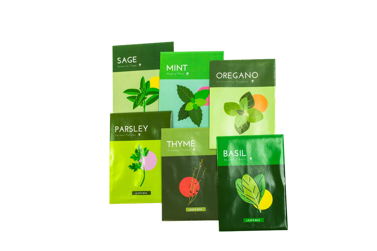 Herb Gardening Education Seed Kit with Science Curriculum