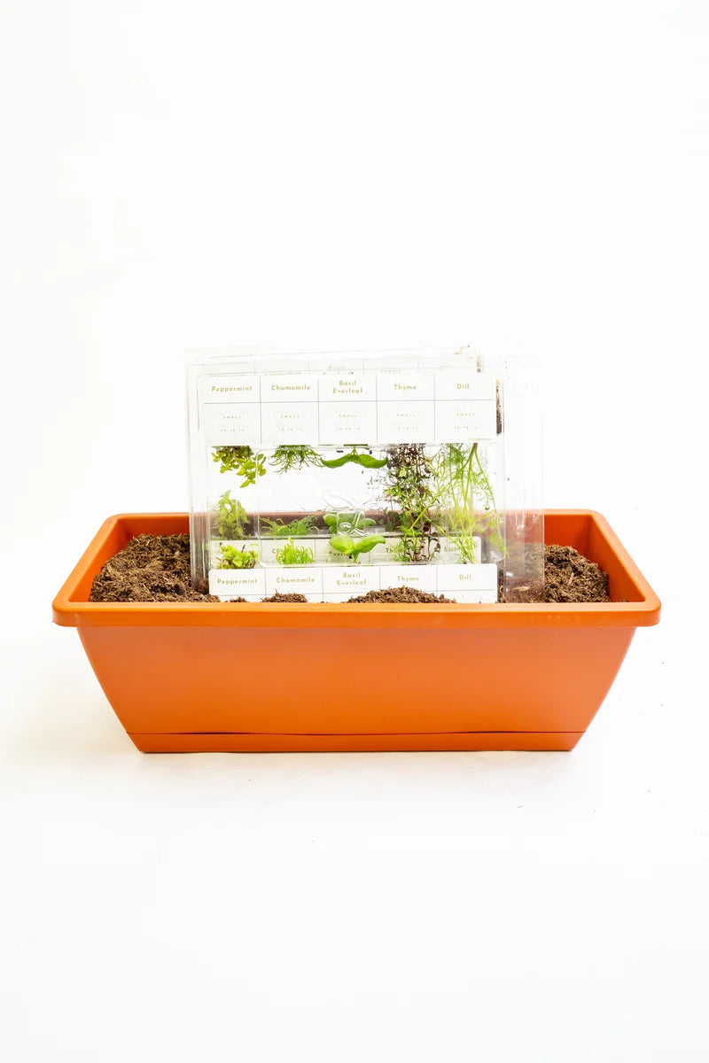 DSC06264.webp__PID:9e760b4f-7bd2-46b3-b844-d4743babfcdb